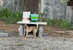 山西长治：邻里纠纷致严重后果，当地调查还原